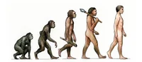 Human Evolution Opia