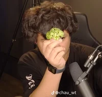 Alecchiman