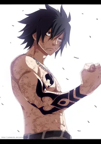 Gray Fullbuster 
