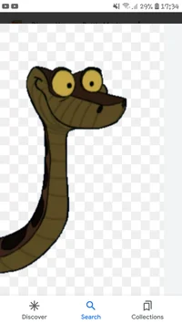 Kaa conciouness 