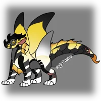 Serial Designation N