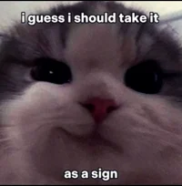 Depressed Cat