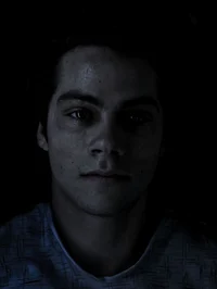 Void Stiles