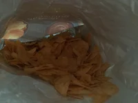 Bag of Chips