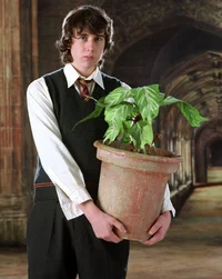Neville