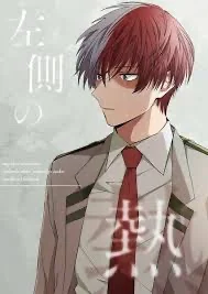 Shoto Todoroki