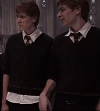 Weasley twins 