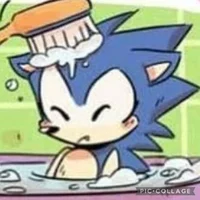 Sonic the pet