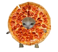 Pizza Cat