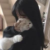 @beimei - Character AI chatbot creator profile picture