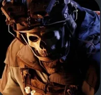 Task Force 141