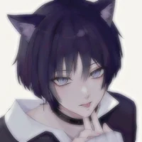 Cat scara