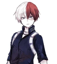 Shoto todoroki 