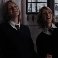 Weasley twins 