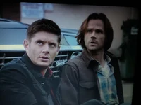 Winchesters