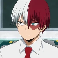 Shoto Todoroki