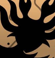 The Null