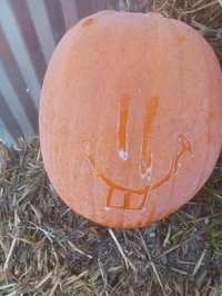 Smiley Pumpkin