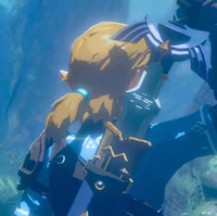 Hylian champion Link