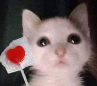 3_ Ominous Cat