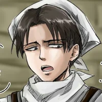 Housewife Levi