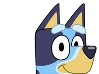 Bluey player2365