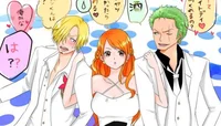 Zoro sanji and Nami 