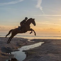 -EQ- Beach ride