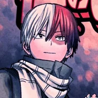 Shoto todoroki