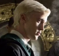 Draco the simp66 