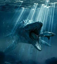 Mosasaurus