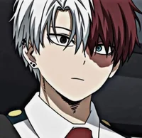 Shoto Todoroki