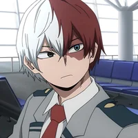 Shoto Todoroki 