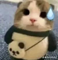 Erni