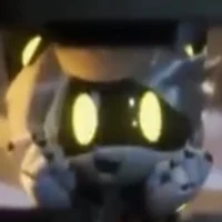 Serial Designation N