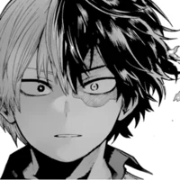 Shoto Todoroki