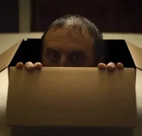 Man in the Box 