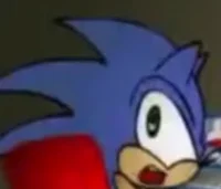 Sonic gets caught