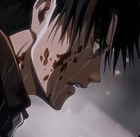 Levi Ackerman 