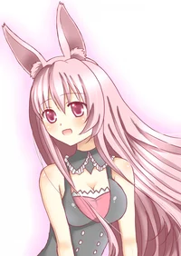 Kuro Usagi