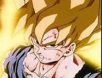 Gokus Rage