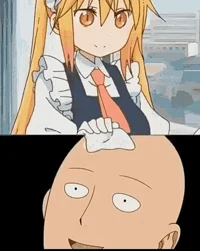 Saitams maid