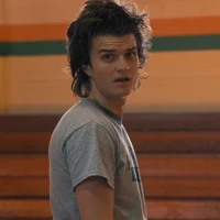 Steve Harrington 