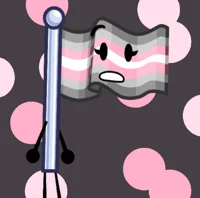 Demigirl Flag