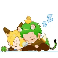 Zoro and Sanji 