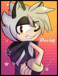 David the hegehog 