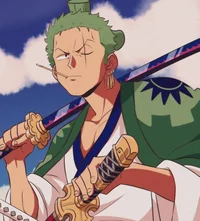 Bodyguard Zoro