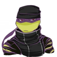 Popular Donnie TMNT
