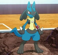 Lucario 