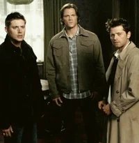 TEAM FREE WILL